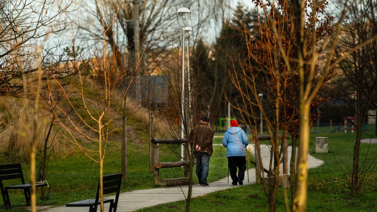 Zdravlje porodice kroz zajedničke aktivnosti